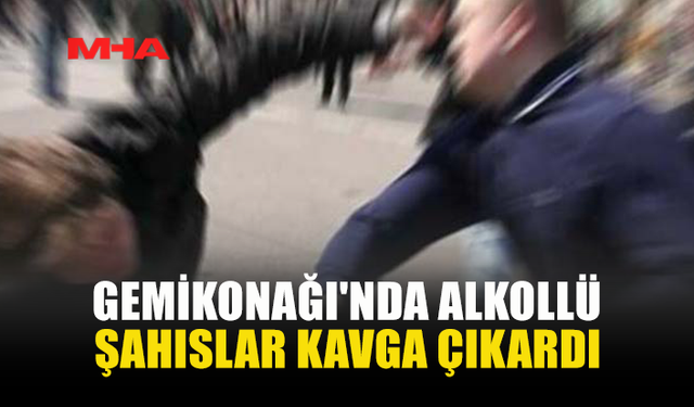 GEMİKONAĞI'NDA ALKOLLÜ ŞAHISLAR KAVGA ÇIKARDI