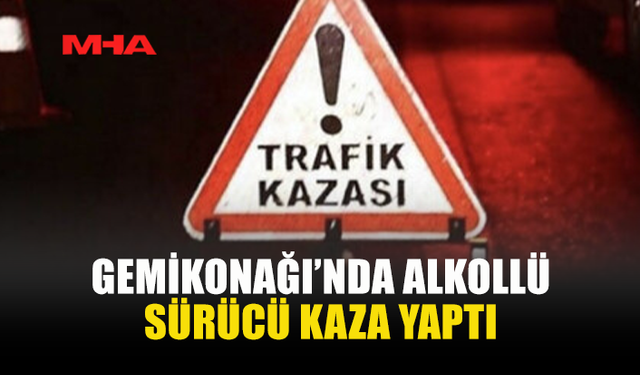 GEMİKONAĞI’NDA ALKOLLÜ SÜRÜCÜ KAZA YAPTI