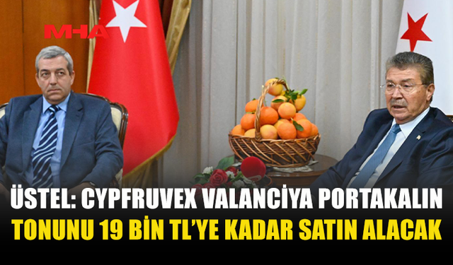 BAŞBAKAN ÜSTEL: CYPFRUVEX VALANCİYA PORTAKALIN TONUNU 19 BİN TL’YE KADAR SATIN ALACAK