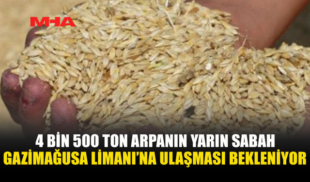 4 BİN 500 TON ARPANIN YARIN SABAH GAZİMAĞUSA LİMANI’NA ULAŞMASI BEKLENİYOR
