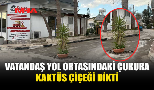 VATANDAŞ YOL ORTASINDAKİ ÇUKURA KAKTÜS ÇİÇEĞİ DİKTİ