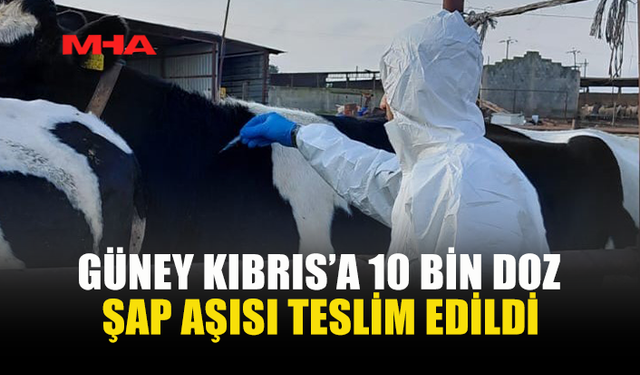 GÜNEY KIBRIS’A ŞAP AŞILARI TESLİM EDİLDİ