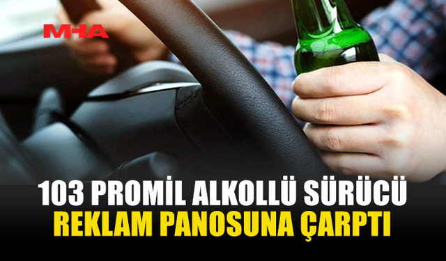 ALKOLLÜ SÜRÜCÜ GURME MARKET ÖNÜNDE KAZA YAPTI