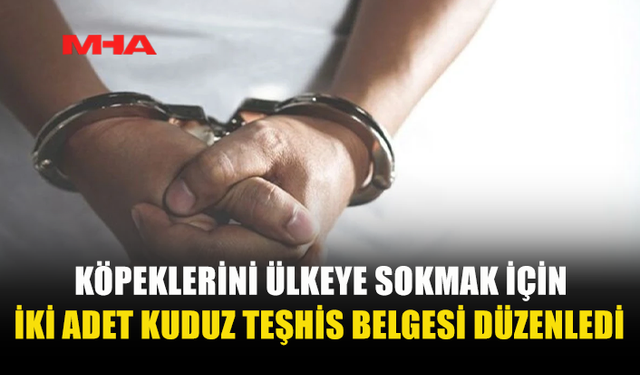 KÖPEKLERİNİ ÜLKEYE SOKMAK İÇİN İKİ ADET KUDUZ TEŞHİS BELGESİ DÜZENLEYEN ŞAHIS TUTUKLANDI