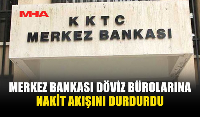 NAKDİ DÖVİZ ERİŞİMİ SADECE BANKA HESAPLARIYLA SAĞLANIYOR