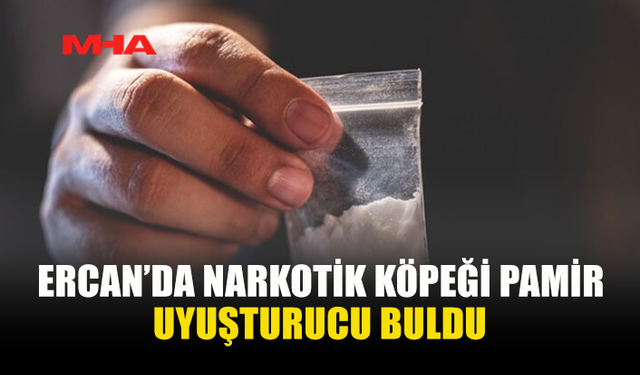 ERCAN’DA YOLCUNUN ÜZERİNDE UY*ŞTURUCU BULUNDU