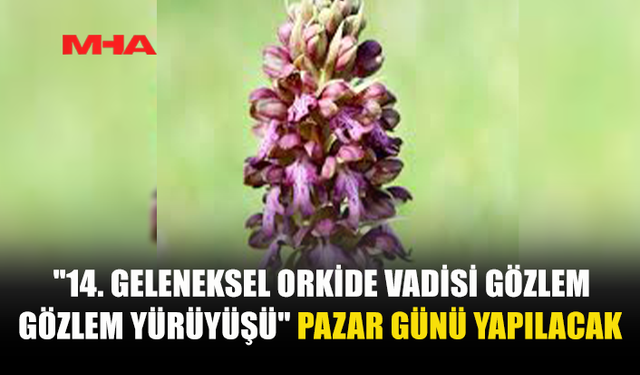 ORKİDE VADİSİ GÖZLEM YÜRÜYÜŞÜ 15 MART’TA