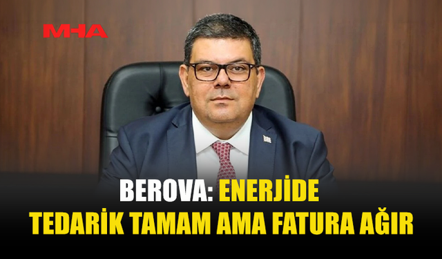 ENERJİ KRİZİNE KARŞI ÖNLEMLER MASADA, BEROVA UYARDI