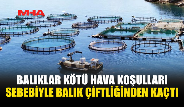 LİOPETRİ’DE BALIK ÇİFTLİĞİ ZARAR GÖRDÜ