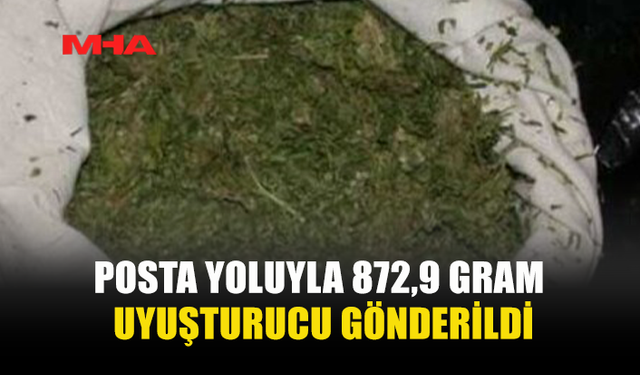 872 GRAM HİNTKENEVİRİ ELE GEÇİRİLDİ