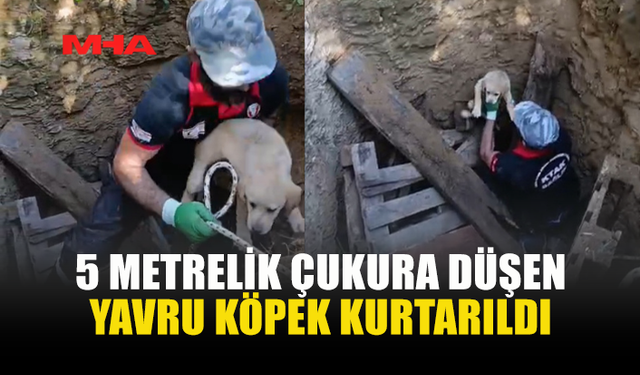KUYUYA DÜŞEN YAVRU KÖPEK KURTARILDI