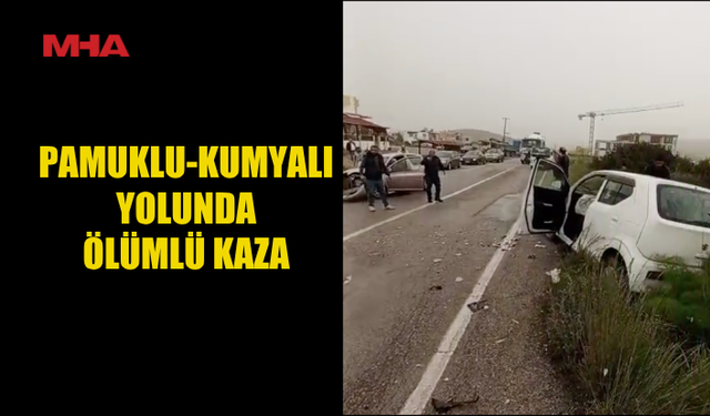 PAMUKLU-KUMYALI YOLUNDA FECİ KAZA: 1 KİŞİ HAYATINI KAYBETTİ