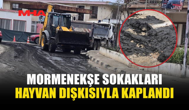 MORMENEKŞE'NİN YOLLARI DIŞKIYLA DOLDU