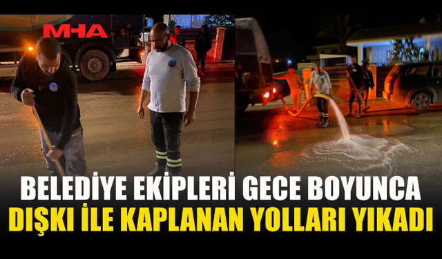 DIŞKI SAÇILAN YOLLAR GECE BOYUNCA TEMİZLENDİ