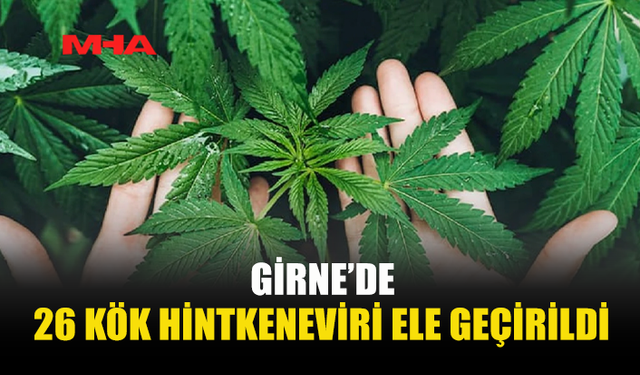 GİRNE’DE HİNTKENEVİRİ ELE GEÇİRİLDİ