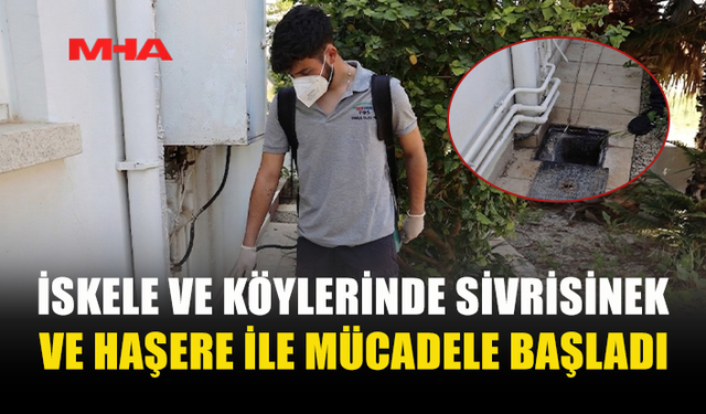 İSKELE VE KÖYLERİNDE SİVRİSİNEK VE HAŞEREYE KARŞI İLAÇLAMA SEFERBERLİĞİ