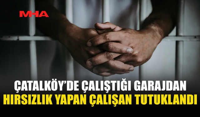 GARAJ ÇALIŞANI ARAÇ PARÇALARINI ÇALDI, YAKALANDI