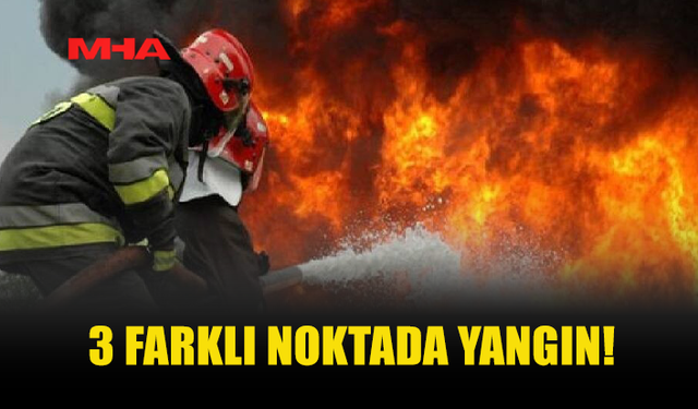 ALSANCAK, ZEYTİNLİK VE GEMİKONAĞI’NDA PEŞ PEŞE YANGINLAR