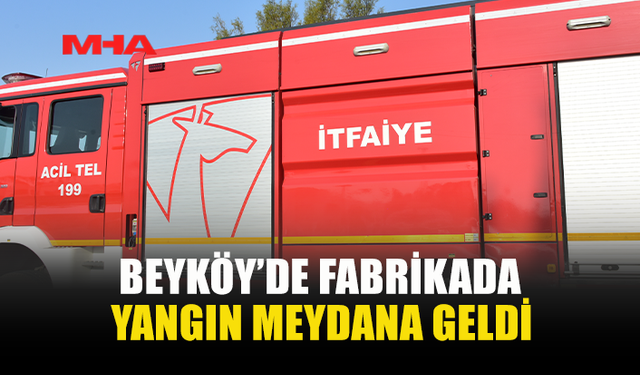 BEYKÖY'DE SÜT ÜRÜNLERİ FABRİKASINDA YANGIN