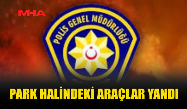PARK HALİNDEKİ ÜÇ ARAÇ YANARAK ZARAR GÖRDÜ