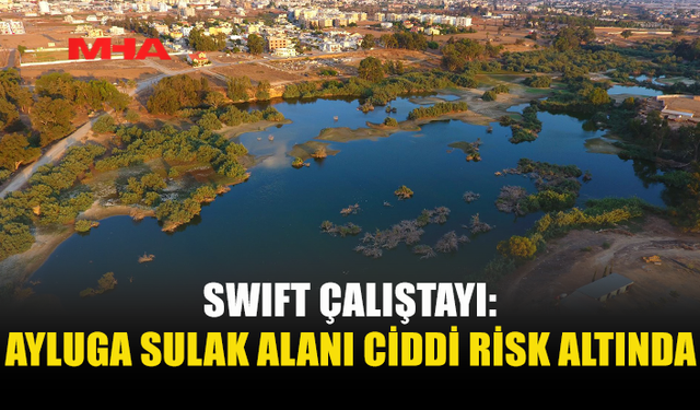 SWIFT ÇALIŞTAYI: AYLUGA SULAK ALANI GERİ DÖNÜŞÜ ZOR OLAN TAHRİBATLARLA KARŞI KARŞIYA