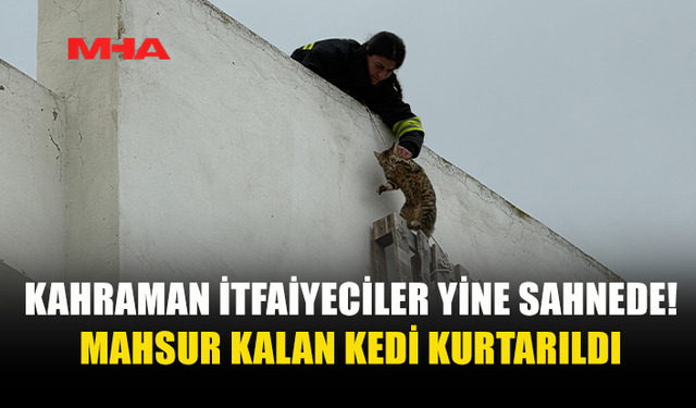KAHRAMAN İTFAİYECİLER MAHSUR KALAN KEDİYİ KURTARDI