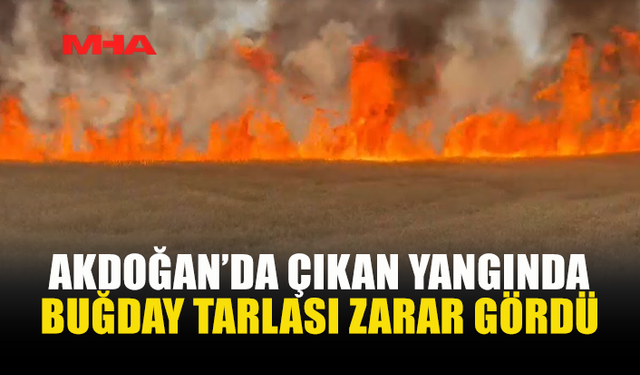 AKDOĞAN'DA BUĞDAY TARLASI ALEVLERE TESLİM OLDU