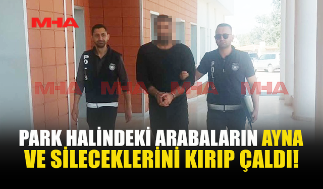 İSKELE’DE ARAÇLARA ZARAR VERİP YAĞMALAYAN ŞAHIS TUTUKLANDI