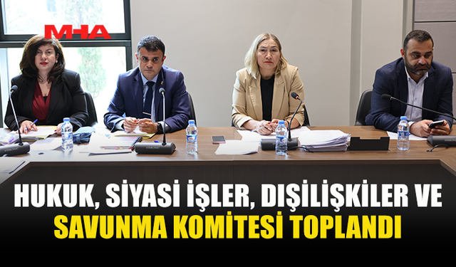 MECLİS KOMİTESİ TOPLANDI