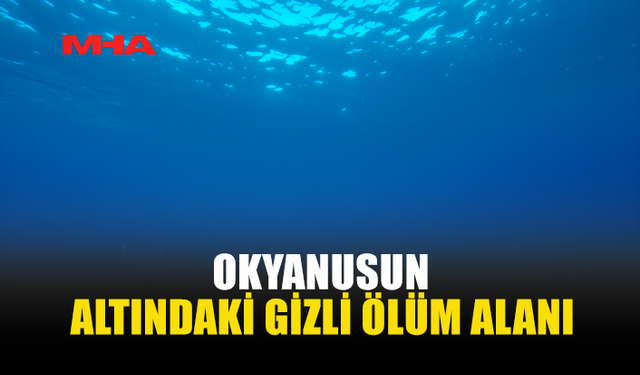 OKYANUSTA YAŞAMIN BİTTİĞİ NOKTALAR