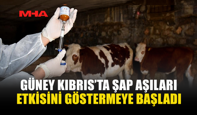 GÜNEYDE ŞAP HASTALIĞINDA AŞILAMA SONUÇ VERMEYE BAŞLADI