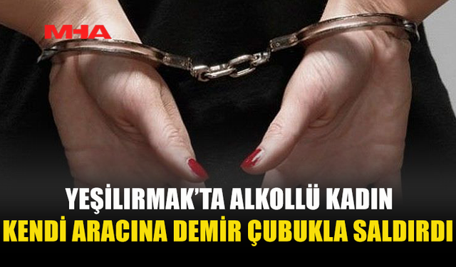 ALKOLLÜ KADIN DEMİR ÇUBUKLA ARACA ZARAR VERDİ