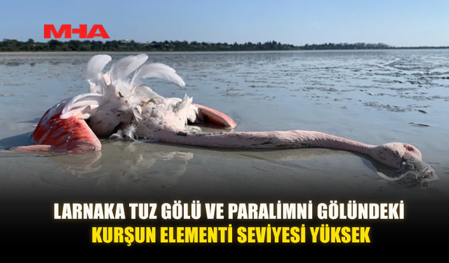 LARNAKA VE PARALİMNİ GÖLLERİNDE KURŞUN ALARMI