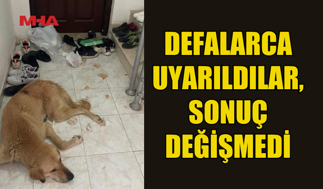 APARTMAN SAKİNLERİNİN SABRI TAŞTI