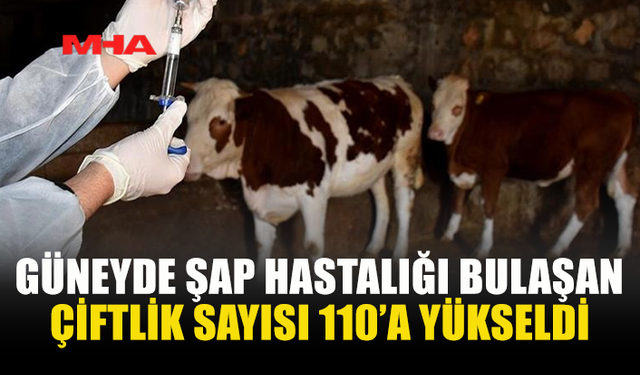 GÜNEYDE ŞAP HASTALIĞI 110 ÇİFTLİĞE ULAŞTI