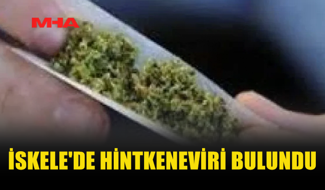 İSKELE'DE EV ARAMASINDA HİNTKENEVİRİ BULUNDU