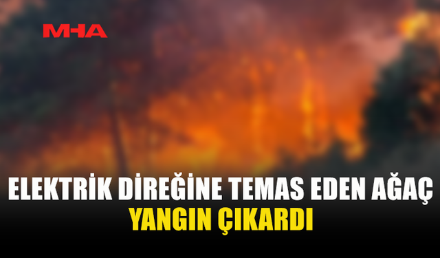 KARŞIYAKA’DA İZİNSİZ AĞAÇ KESİMİ YANGINA NEDEN OLDU