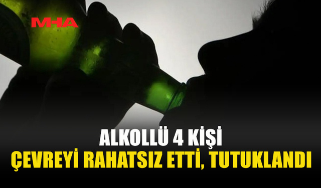 3 İLÇEDE ALKOLLÜ SÜRÜCÜLER KAZAYA NEDEN OLDU