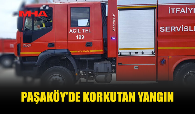 PAŞAKÖY’DE ÇÖPLÜK YANGINI: 50 DÖNÜM ALAN ZARAR GÖRDÜ