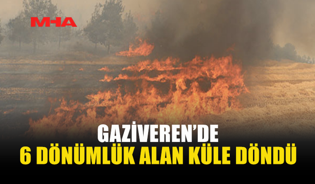 GAZİVEREN’DE TARIM ARAZİSİ YANDI