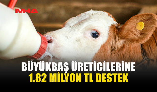 12 ÜRETİCİYE BUZAĞI DESTEĞİ ÖDEMESİ