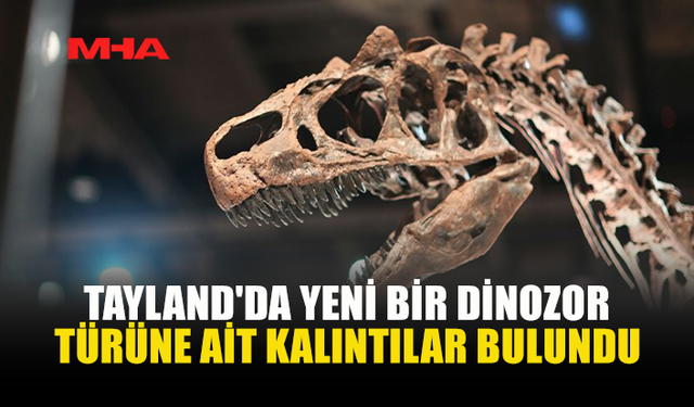 TAYLAND’DA DEV DİNOZOR TÜRÜ KEŞFEDİLDİ