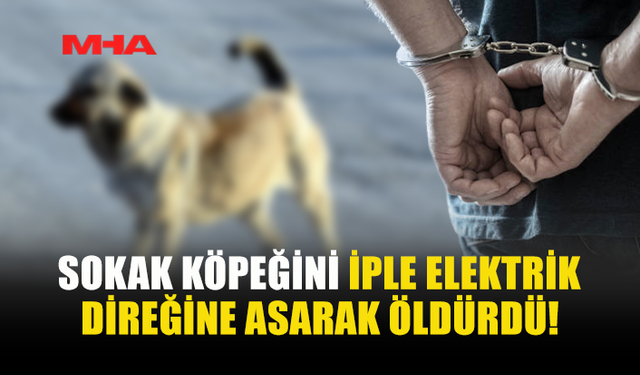 SİPAHİ’DEKİ V*HŞET OLAYINDA ZANLI YAKALANDI