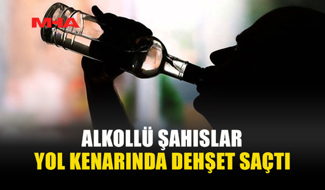 ZİYAMET-KUMYALI YOLUNDA SOPALI DARP: 2 TUTUKLAMA