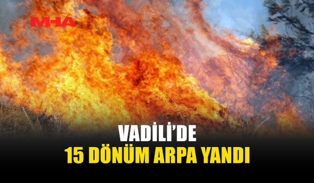 VADİLİ’DE ARAZİ YANGINI: 60 DÖNÜM ALAN ZARAR GÖRDÜ