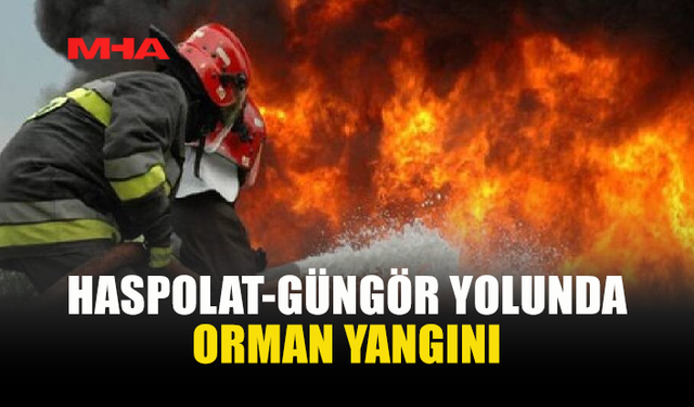 HASPOLAT'TA ORMANLIK ALANDA KORKUTAN YANGIN