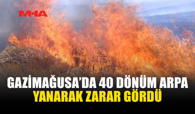 ÇANAKKALE AĞILLAR BÖLGESİNDE TARLA YANGINI