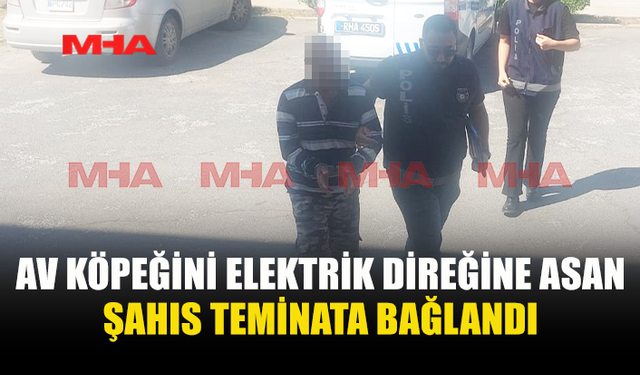 SİPAHİ’DE KÖPEĞİ DİREĞE ASAN ŞAHIS TEMİNATA BAĞLANDI
