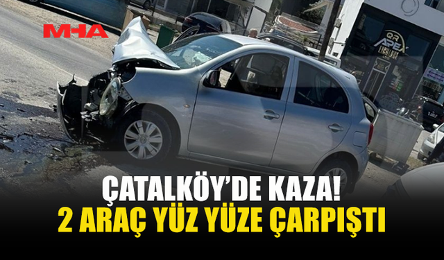 ÇATALKÖY YOLUNDA  2 ARAÇ YÜZ YÜZE ÇARPIŞTI: 3 YARALI