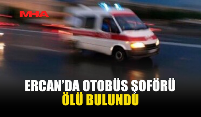 ERCAN'DA 31 YAŞINDAKİ ŞOFÖR HAYATINI KAYBETTİ